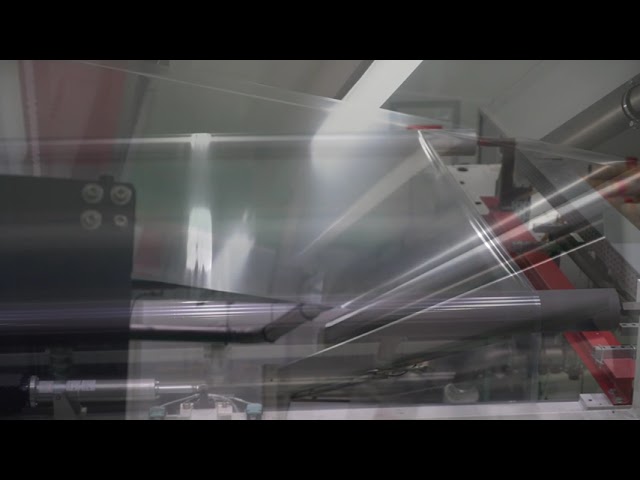 Film plastico resistente dell'alimento di puntura di nylon per riso/alimento